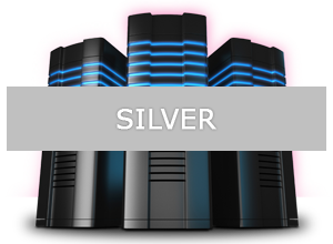 Silver Website Hosting Package
