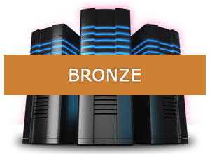 Bronze Website Hosting Package